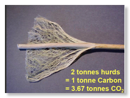 image of hemp straw with fiber pulled away